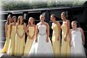 wedding-20090704-season-cayce-0070.jpg
